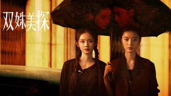 双姝美探电视剧
